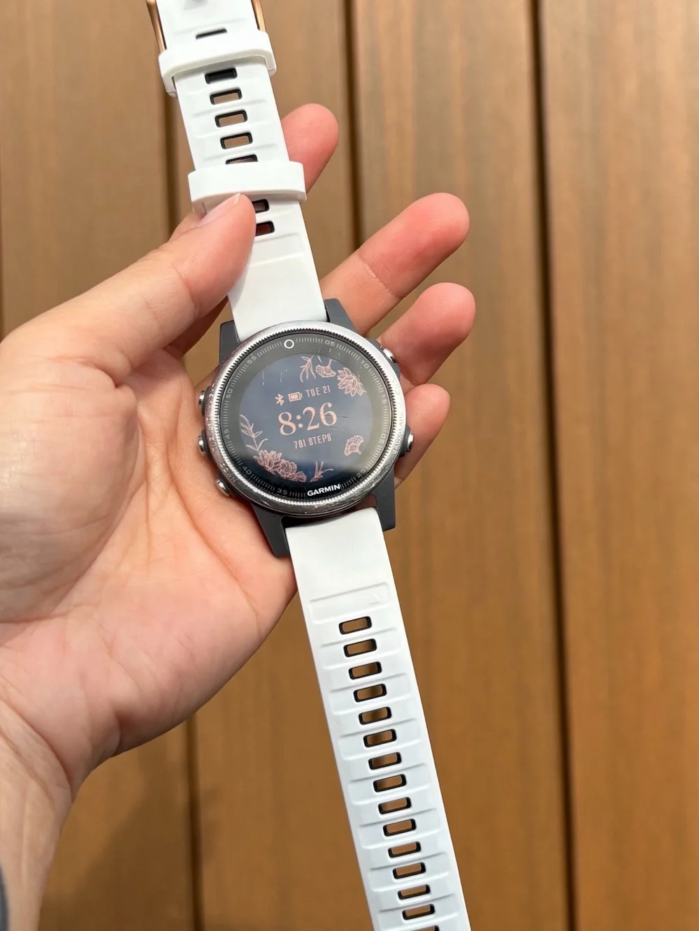 Garmin Fenix 5s